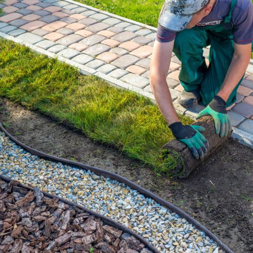 Rollrasen wird auf einer Fläche verlegt; die Arbeiten sind noch nicht abgeschlossen. Der Rasen wird an eine geschwungene Beetkante angepasst.