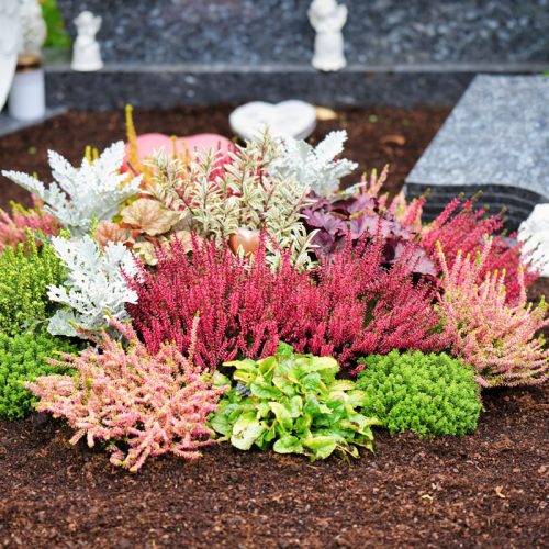 Ein bepflanztes Grab mit verschiedenen bunten Blumen.