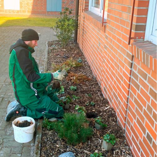 Ein Mitarbeiter in Arbeitskleidung pflanzt im Frühjahr Blumen und Stauden in ein Beet; neben ihm liegen Pflanzen und ein Eimer.